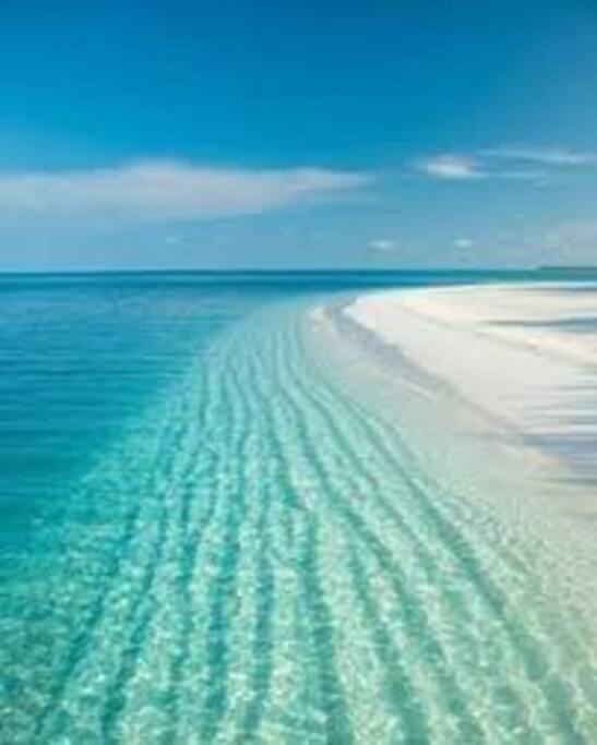 Villa Rowena House 2Bd Den 2Bth Heated Pool Near Siesta Key Sarasota Esterno foto
