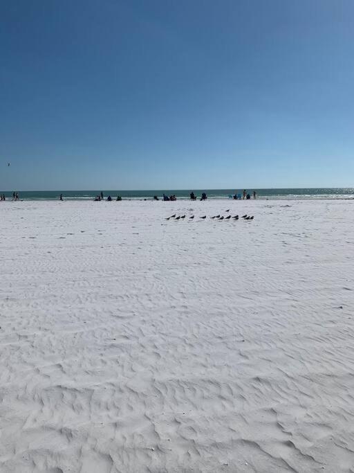 Villa Rowena House 2Bd Den 2Bth Heated Pool Near Siesta Key Sarasota Esterno foto